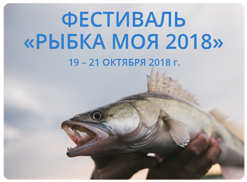 Ловля осетра: на что ловить, на что клюет, как ловить на удочку 44 Ловля осетра: на что ловить, на что клюет, как ловить на удочку 62
